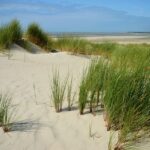 console de jeux pas cher