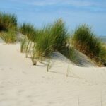 console de jeux pas cher