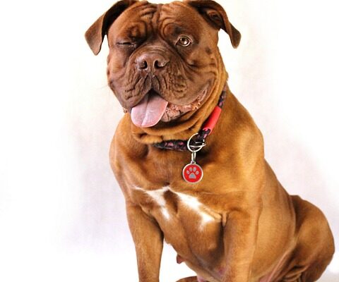 console de jeux ancienne