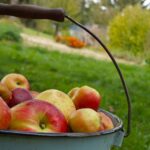 ancienne console de jeux