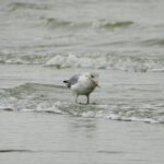 console de jeux pas cher